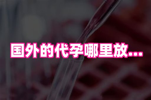 国际助孕网 3