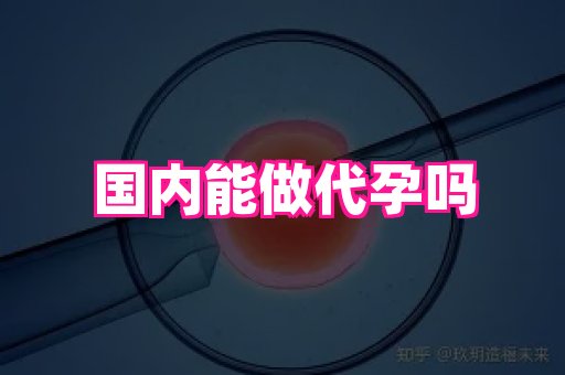 国际助孕网 4